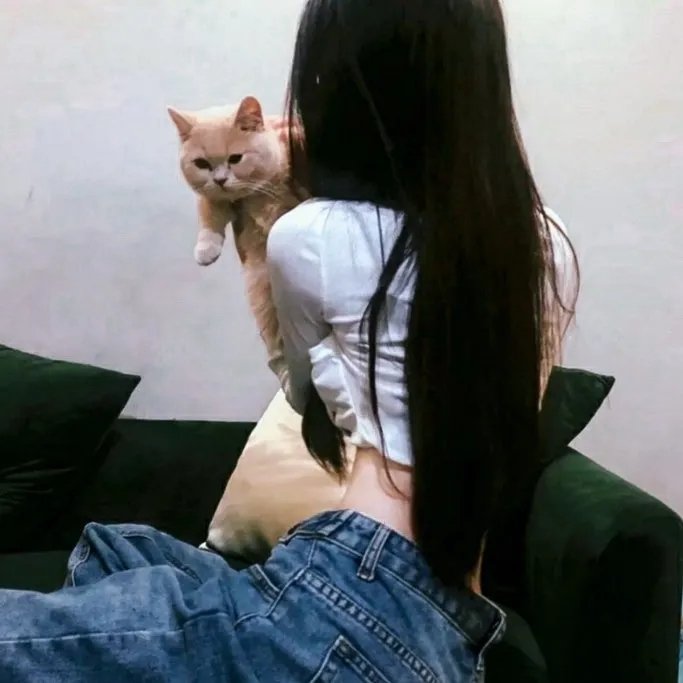乌龙捕快粤语